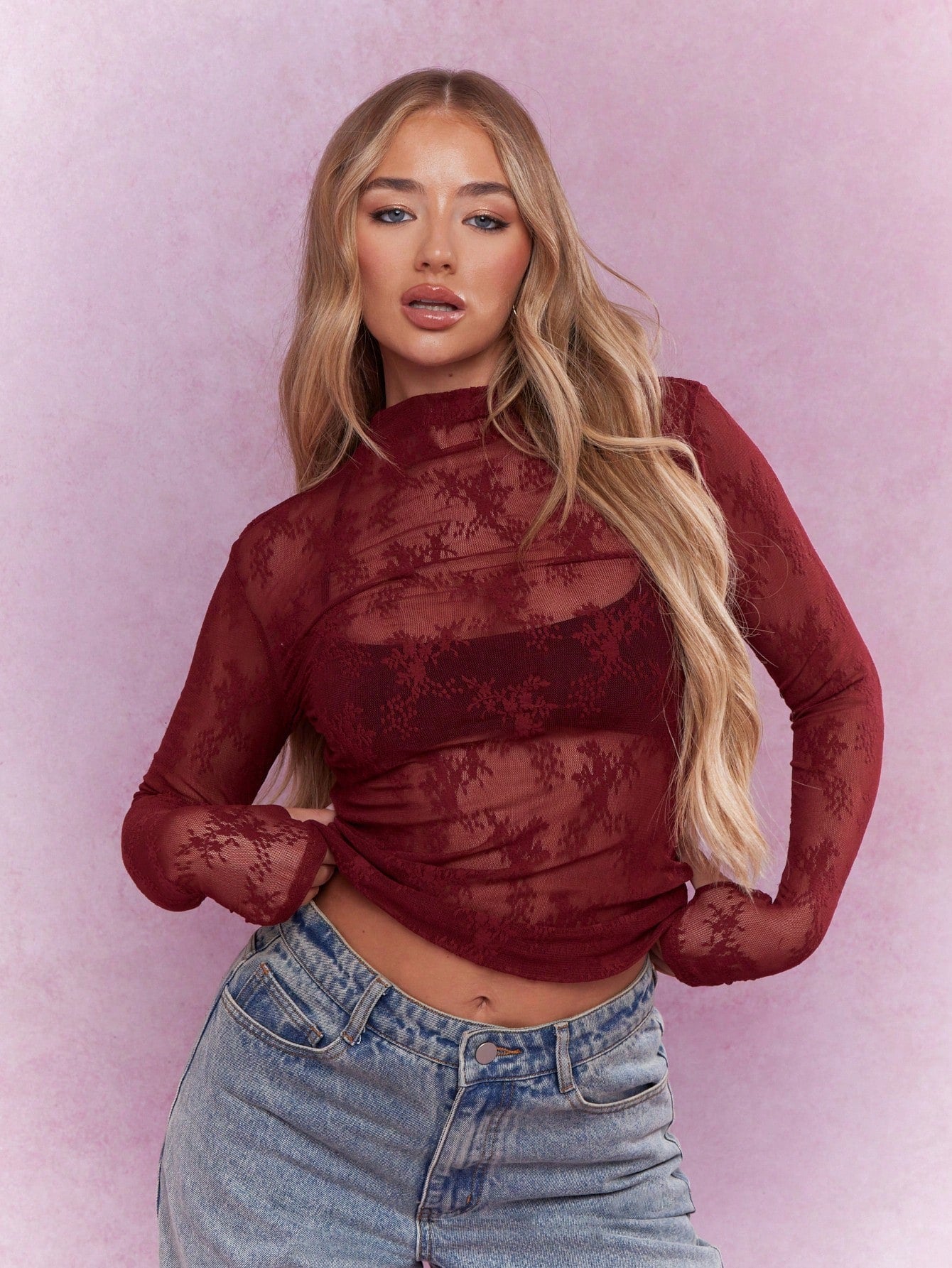 Sheer Lace Polo Neck Long Sleeves Top